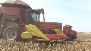 Exportação de soja e carnes cresce em janeiro, aponta Secex/MDIC