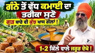 🚜 How Farmers Can Get More Income with 🌾Sugarcane & Jaggery | ਗੰਨਾ ਬੀਜਣ ਦਾ ਸਹੀ ਤਰੀਕਾ ਕੀ !