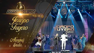 [Concierto de Lujo] – Joropo Tuyero –  Aragua Linda