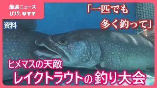 「一匹でも多く釣ってもらえたらありがたい」　ヒメマスの天敵レイクトラウト　楽しみながら釣って駆除　1か月にわたる大会始まる　山梨・本栖湖