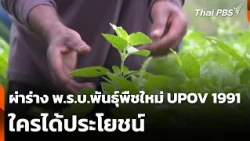 Analyzing the UPOV 1991 New Plant Variety Protection Bill: Who Benefits? | Watch the Situation | ...