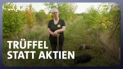 Hier wachsen Tausende Euro unter der Erde | MDR um 4 | MDR