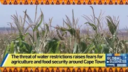 The threat of water restrictions raises fears for agriculture and food security around Cape Town