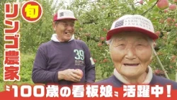 [The Apple Orchard Run by a "100-Year-Old Poster Girl"] Exploring the Charm of an Apple Farm That...