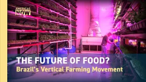 How Vertical Farming Is Changing Agriculture in Brazil?