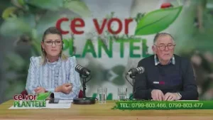 Putem folosi drujba la toaletarea pomilor? Cristina Ghibu si Horia Ghibu