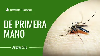 Arboviruses/ Health/ Televisión Camagüey