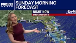 Tampa Weather | Sunday Forecast