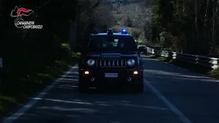 They rob and attack a young man in Termoli, caught in Campobasso: 2 youths arrested - 09/30/2026