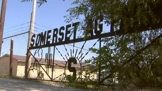Around 20 Somerset ISD show animals killed after dogs attack AG Barn, district says
