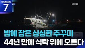 인천 연안 야간조업 44년 만에 허용…“꽃게·쭈꾸미 풍어 기대” / KBS  2026.03.06.