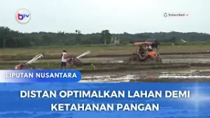DISTAN OPTIMALKAN LAHAN DEMI KETAHANAN PANGAN