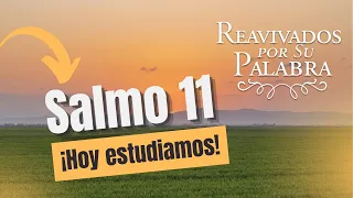 Psalm 11: When All Seems Lost, Trust in God | Revived by His Word | #RPSP 2026