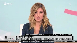 Ιός Δυτικού Νείλου: Πού οφείλεται η φετινή έξαρση - Πότε αναμένεται αποκλιμάκωση