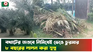 বখাটের তা'ণ্ড'বে নিমিষেই ভে'ঙে চুর'মার ৮ বছরের লালন করা স্বপ্ন | Patuakhali | Saudi Khejur | News