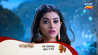 ନାଗମଣି | Nagamani | Episodic Promo 407 | 28th Sept 2026  | Mon - Fri @6.30PM  Tarang Tv