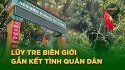 Vietnam’s Border Bamboo Rampart – A Green Initiative Uniting Military and Civilians at the Nation...