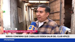 Serviu descarta permanencia de caballos en ex Club Hípico previo a toma de posesión del recinto