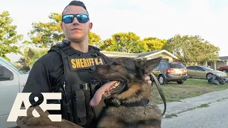 Live PD: Greatest Shifts — Wanted Man Climbs Out Window, Lands in the Doghouse | A&E