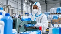 Five new production facilities opened at the Turkistan Region industrial park