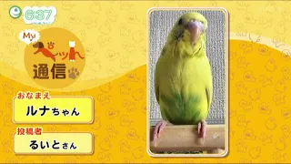 [Episode 119] Introducing Our Viewers' Cute Pets! "My Pet Report"