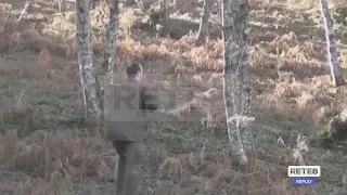 WWF Abruzzo - Hunting Season Begins After Wildfires