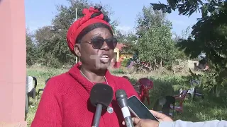 Matutuine District in Maputo: Hippos devastate agricultural production areas