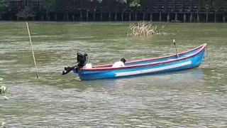 Generations of Tradition: Goan Fishermen Harvest Tisryao from Mandovi River.