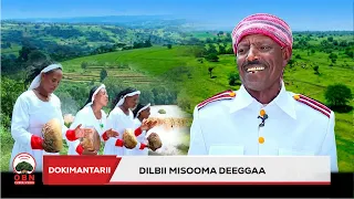 Dokmantarii misooma waliigalaa Aanaa Deeggaa || Dilbii  misooma  Deeggaa