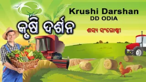 Krushi Darshan || କୃଷି ଦର୍ଶନ || ଶସ୍ୟ ସଂଗୋଷ୍ଠୀ