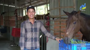 Tây Ninh: Rộn ràng nhịp vó ngựa đón xuân Bính Ngọ