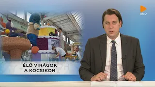 Debrecen Televízió Híradó  (2026.08.19.)