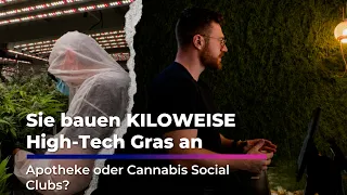High-Tech Cannabis from Leipzig: What’s the Difference Between Clubs and Pharmacies? | Sachsen Fe...