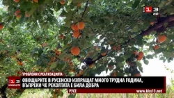 Овощарите в Русенско изпращат много трудна година въпреки добрата реколта