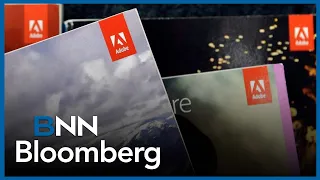 'They effectively need to prove their relevance': Taylor on Adobe