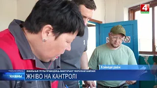 Мобильная рабочая группа во время жатвы посетила Хойникский район