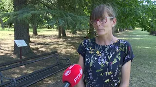 Botanička bašta u Kragujevcu nudi predah od letnjih vrućina