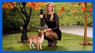 52918 10 Wildlife Camera MW CR