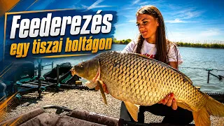 Feederezés egy tiszai holtágon
