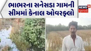 Banaskantha Canal Overflow | ભાભરના સનેસડા ગામની સીમમાં કેનાલ ઓવરફ્લો |Canal Overflow |Gujarati News