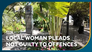 Local woman pleads not guilty to offences relating to indecent images of children