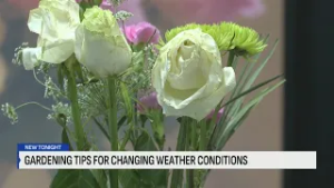 Local gardening experts provide tips on winter-to-spring gardening