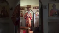 შეიძლება სასულიერო პირმა გინებაც დაიწყოს,  ვიღაცას დაარტყას კიდეც ... -  მიტროპოლიტ იობის ქადაგება