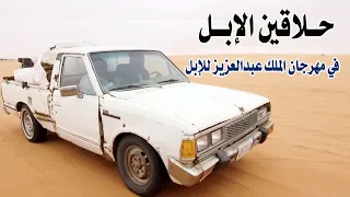 تقرير حلاقين الإبل في مهرجان الملك عبدالعزيز للإبل