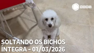Soltando os Bichos - 01/03/2026