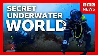 The secret underwater world scientists are now exploring | BBC News