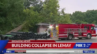 Tree falls on home in south St. Louis County