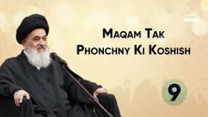 Maqam Tak Pahuchne Ki Koshish | Ayatollah Sayyid Sadiq Hussaini Shirazi Ke Bayanat