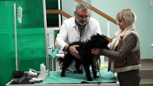 TV Informator  - KRPELJI I PSI 27 feb 2026