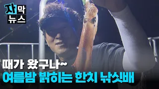 [Subtitled News] "Best thrill of the catch" Squid fishing boats lighting up Jeju's summer nights